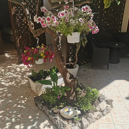 Il Giardino Del Sol Vendégház